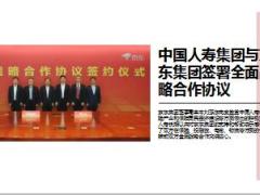 2018年底中国人寿近期成果汇报11页.ppt