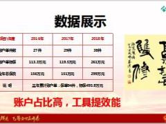 泰康三份账户建议书反思35页.ppt