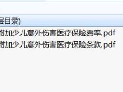 长城附加少儿意外伤害医疗保险条款费率.rar