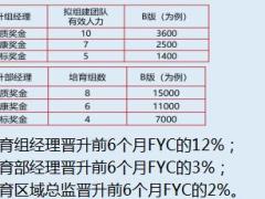 2018国寿收展总版基本法调整明白纸B版1页.xls