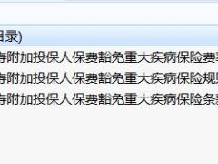 中英人寿附加投保人保费豁免重大疾病保险条款费率投保规则.rar
