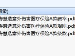 中英人寿慧选意外伤害医疗保险A款条款费率投保规则.rar