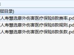 中英人寿慧选意外伤害医疗保险B款条款费率投保规则.rar