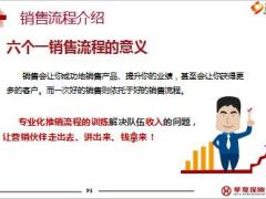 华夏福临门年金保险盛世版A款六个一销售流程话术20页.ppt