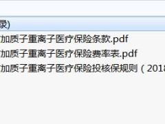 华夏附加质子重离子医疗保险条款费率核保投保规则.rar