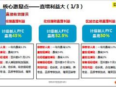 国寿基本法核心激励点12页.ppt
