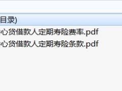 中荷安心贷借款人定期寿险条款费率表.rar