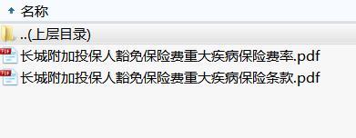 长城附加投保人豁免保险费重大疾病保险条款费率.rar