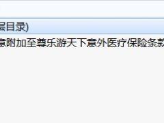 中意附加至尊乐游天下意外医疗保险条款.rar