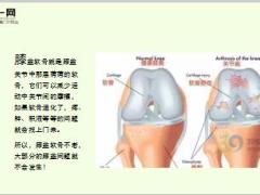 每日健康此处不老膝盖不痛做到这3点膝盖至少年轻10岁12页.ppt