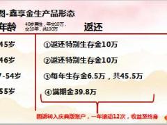 国寿两T图讲鑫享金生18页.ppt