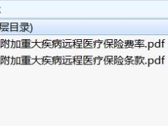 长城附加重大疾病远程医疗保险条款费率.rar