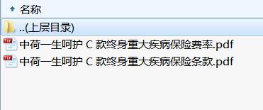 中荷一生呵护C款终身重大疾病保险条款费率表.rar