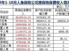 2018年前10月人身保险公司保费收入排名表.xls