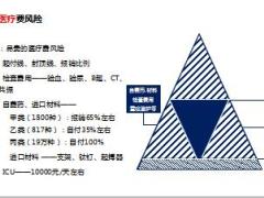 一张图讲重疾风险医疗费风险等9页.ppt