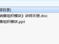周经营工作模式4销售组织模块及讲师手册.rar