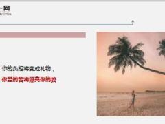 每日鸡汤任何值得去的地方都没有捷径.rar
