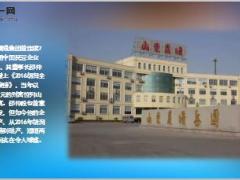 身家190亿的山东首富晨曦集团邵仲毅破产22页.ppt