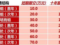 国寿区处经理层级收入模型速查表.xls
