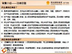 阳光人寿诉讼财产保全责任保险产品介绍29页.ppt