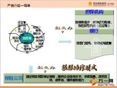 阳光人寿企业贷款保证保险运用介绍21页.ppt