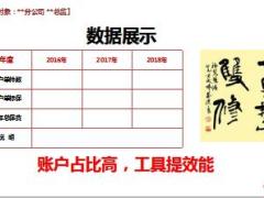 财管型销售让保单做得更大对三份账户建议书反思33页.ppt