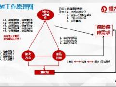 恒大人寿长青树销售逻辑训练版话术11页.ppt