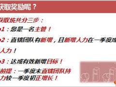 国寿2019年一季度团队有效新增方案11页.ppt