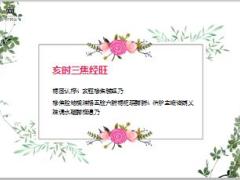 每日健康晚上9至11点你在干嘛难怪你一身病15页.ppt