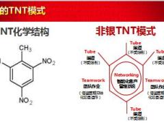 太平打造卓越的非银渠道22页.ppt