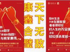 富德生命康鑫宝案例解析20页.ppt