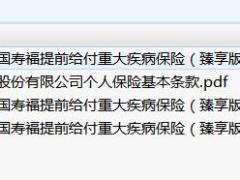 国寿附加少儿国寿福提前给付重大疾病保险臻享版条款费率现金价值.rar