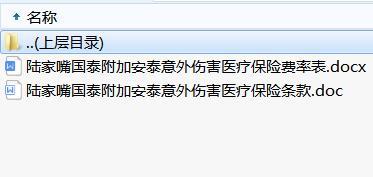 陆家嘴国泰附加安泰意外伤害医疗保险条款费率.rar