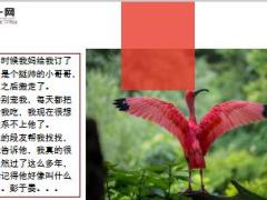 每日快乐早会18年12月29日使用12页.ppt