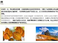 2018年终盘点香港保险十大关键词32页.ppt