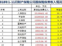 2018年前11月财产保险公司原保险保费收入排名榜.xls