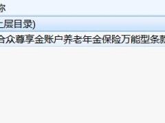 合众尊享金账户养老年金保险万能型条款.rar