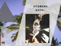每日快乐早会19年1月3日使用12页.ppt