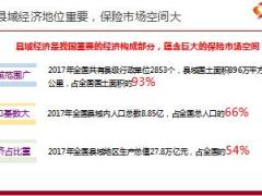 保险营销县域市场发展策略38页.ppt