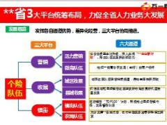 保险企业家经营系统项目介绍28页.ppt