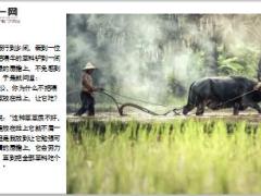 每日正能量养牛之道4页.ppt