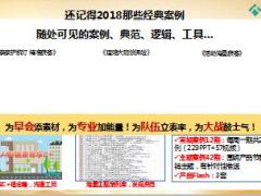 泰康人寿2019开泰案例萃取项目31页.ppt