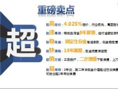 太平财富安赢年金保险及指定万能特色产品示例篇29页.ppt