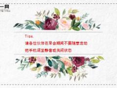 保险迎新早会流程淡雅20页.ppt