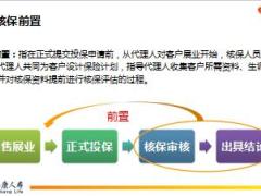 泰康人寿大单承保支持核保前置16页.ppt