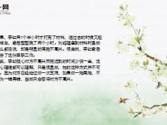 每日保险故事迟到的艺术7页.ppt