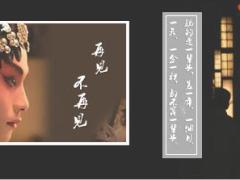 泰康健康百分百C加停售解析训练篇39页.ppt