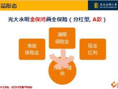 光大永明金保鸿两全保险分红型A款介绍案例投保规则尊享服务资运作实力26页.ppt