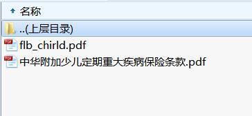 中华附加少儿定期重大疾病保险条款费率.rar