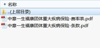 中意一生福康团体重大疾病保险条款费率.rar